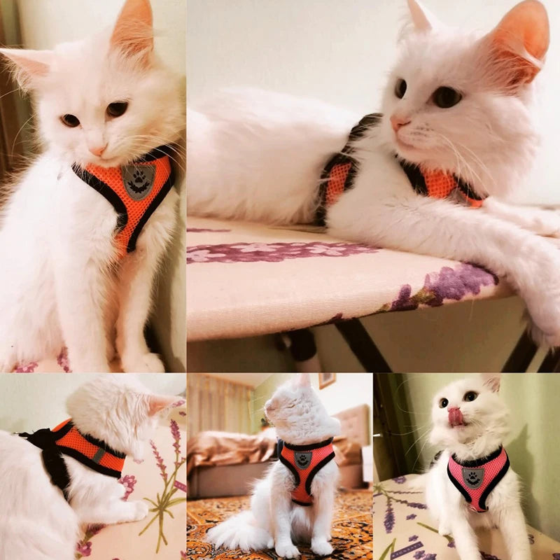 Adjustable Reflective Cat Harness with Leash