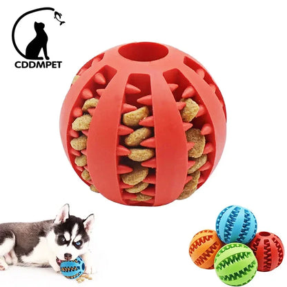 Interactive Dog Toy Ball