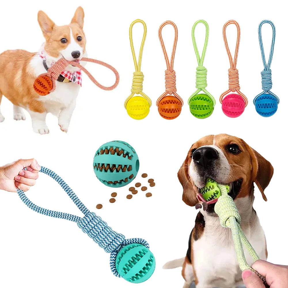 Dog Toy Ball with Rope