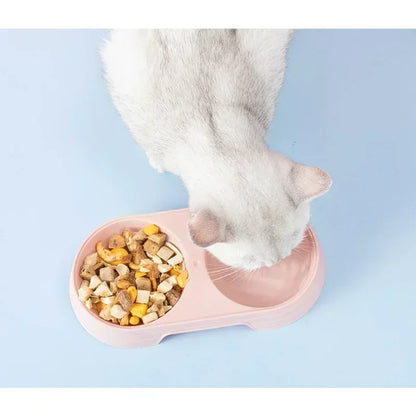 Pet Double Feeder Bowl