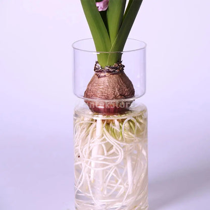 Clear Glass for Hydroponic Flower