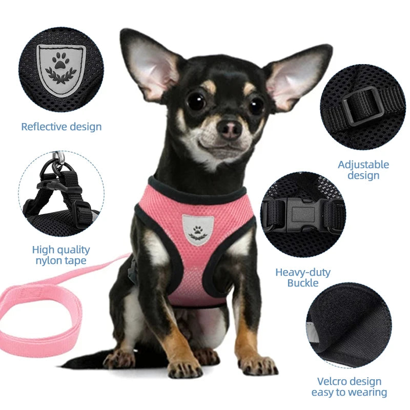 Adjustable Reflective Cat Harness with Leash