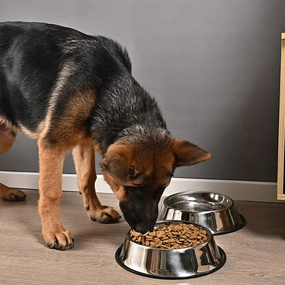 Stainless Steel Pet Bowl Feeder