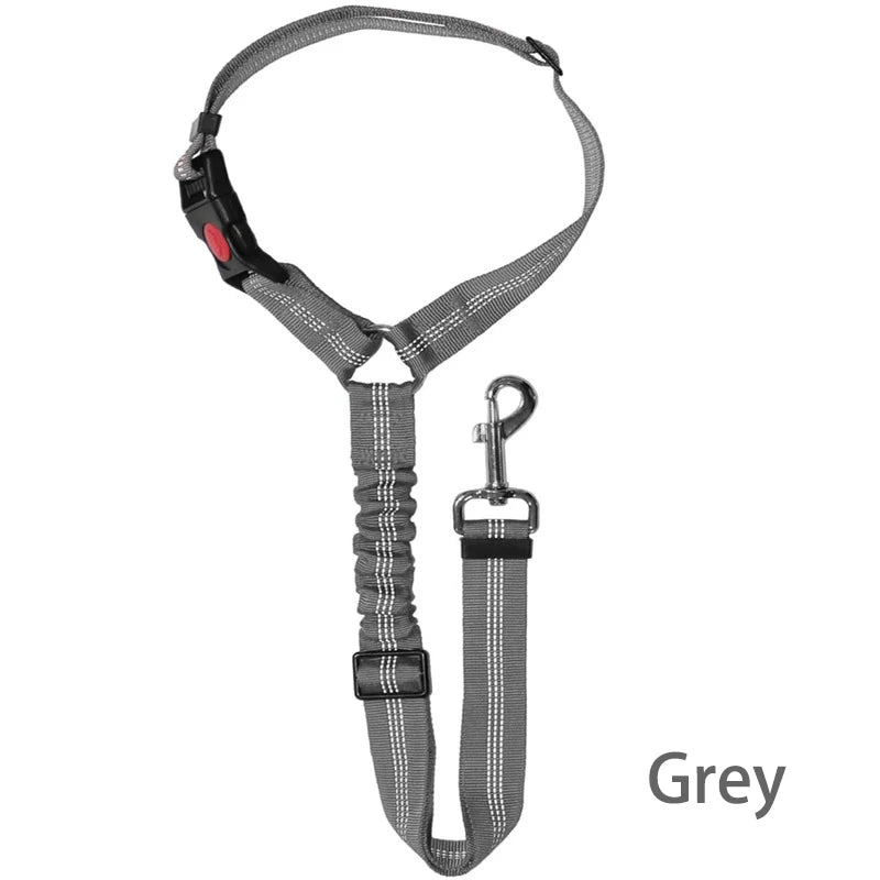 Solid Two-in-One Harness Leash & Car Seat Belt