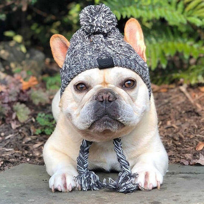 Dog Knitted Winter Hat