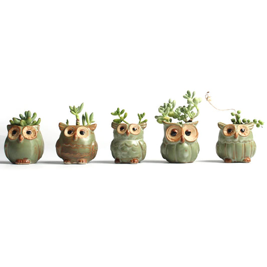 Owl Flower Pot