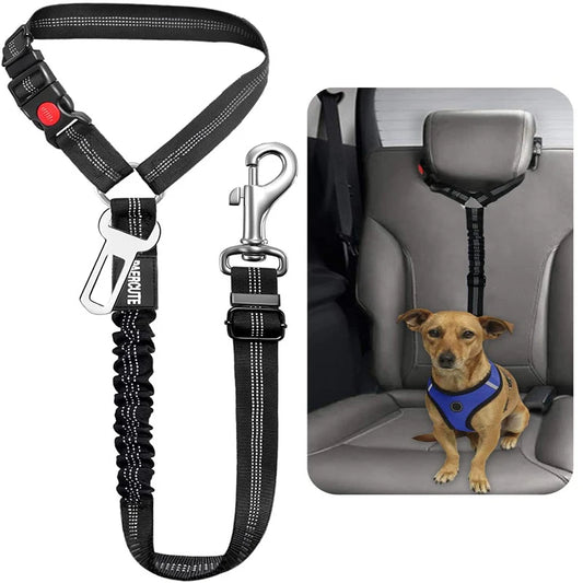 Solid Two-in-One Harness Leash & Car Seat Belt