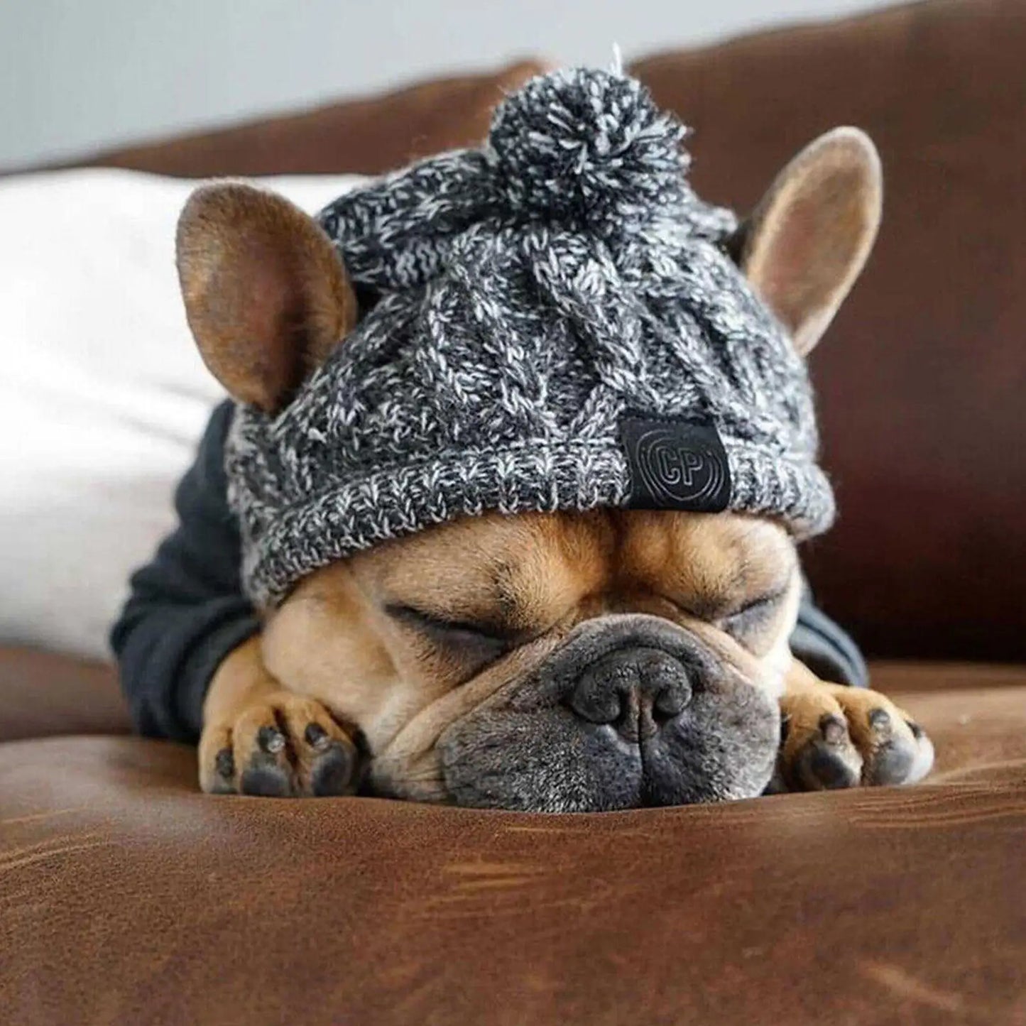 Dog Knitted Winter Hat