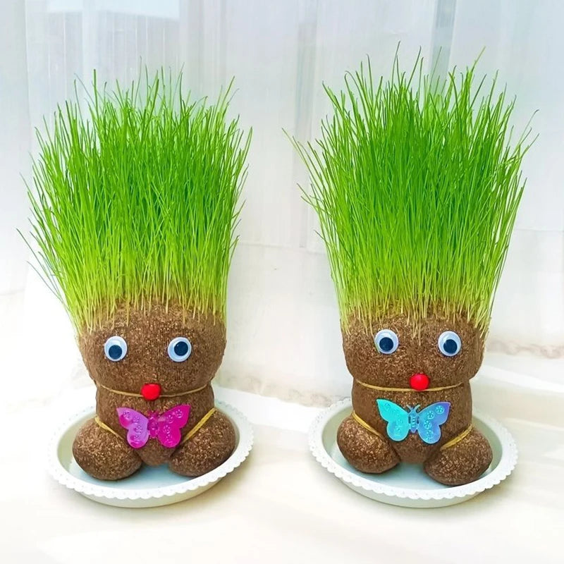 Growing Grass Dolls