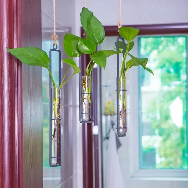 Hanging Glass Flower Pot with Iron Frame