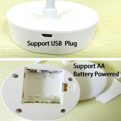 Portable LED Desk Lamp with USB & Battery Power