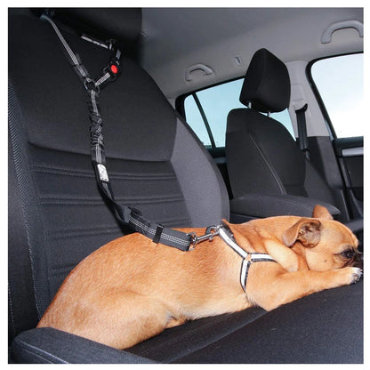 Solid Two-in-One Harness Leash & Car Seat Belt