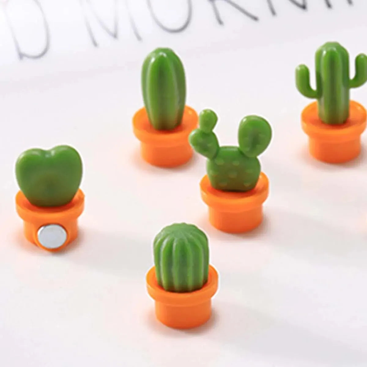 6pcs Magnetic Cactus