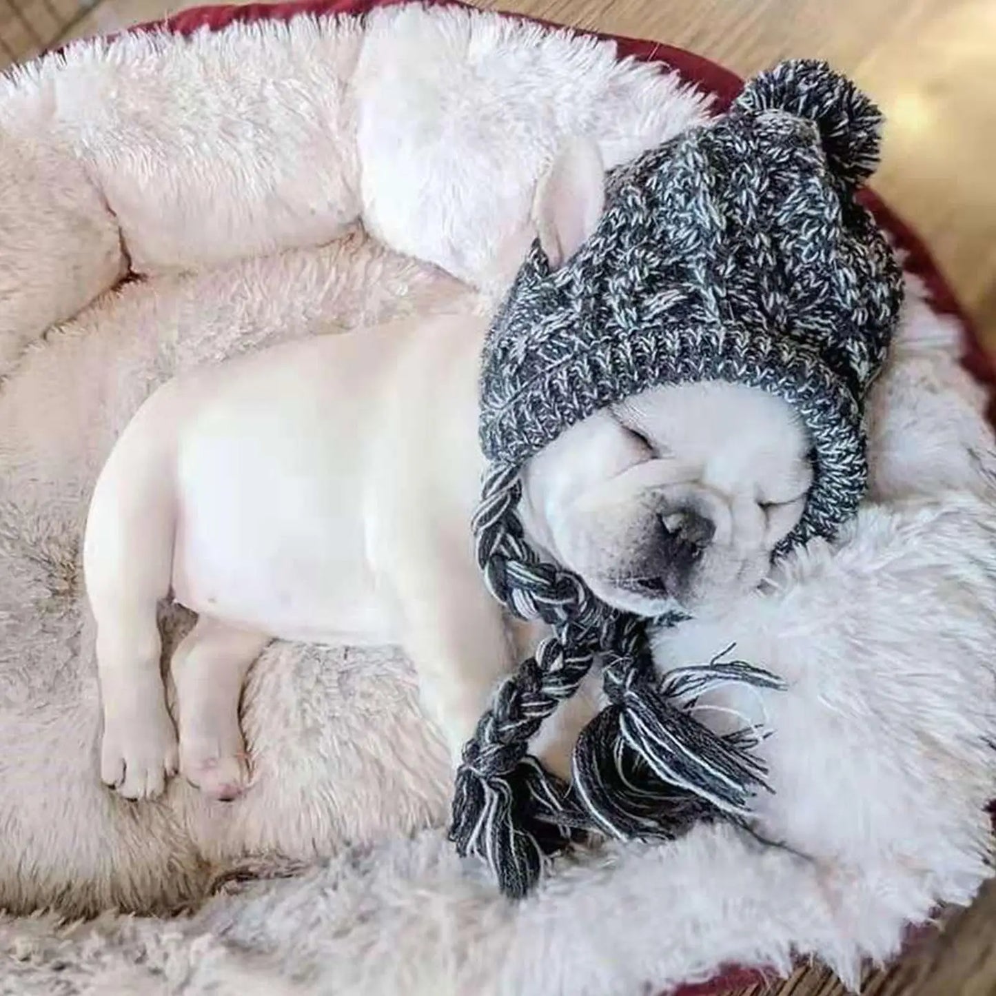 Dog Knitted Winter Hat