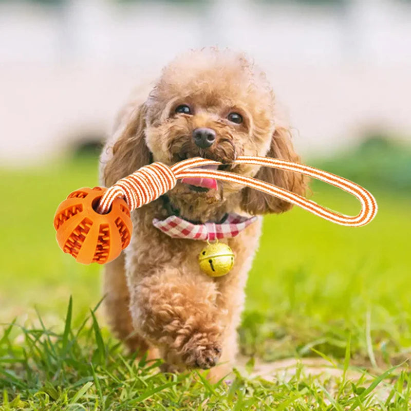 Dog Toy Ball with Rope