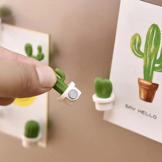 6pcs Magnetic Cactus