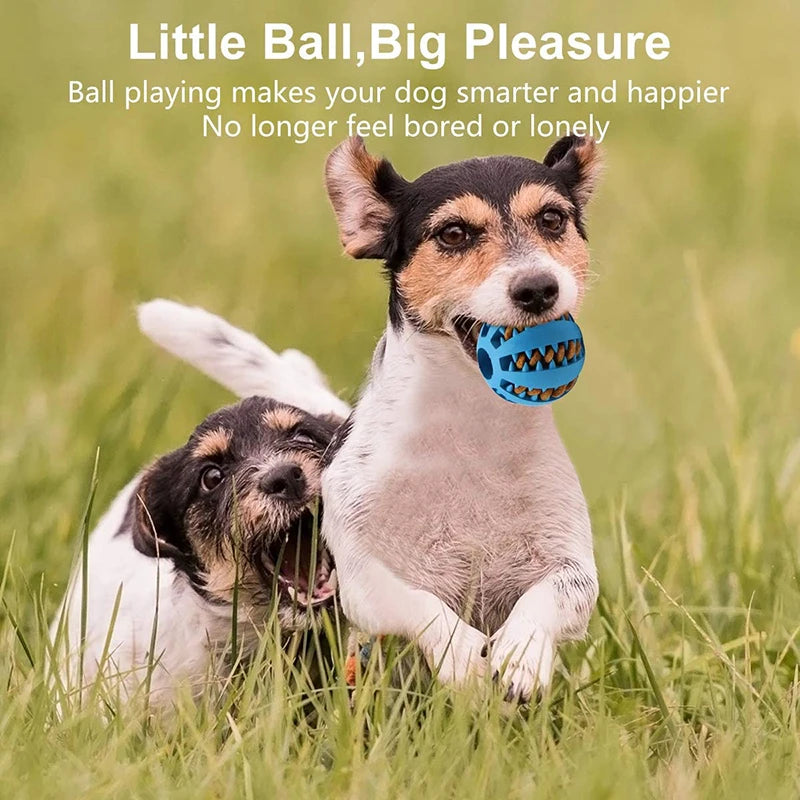 Interactive Dog Toy Ball