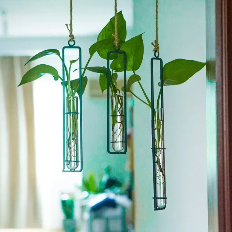 Hanging Glass Flower Pot with Iron Frame