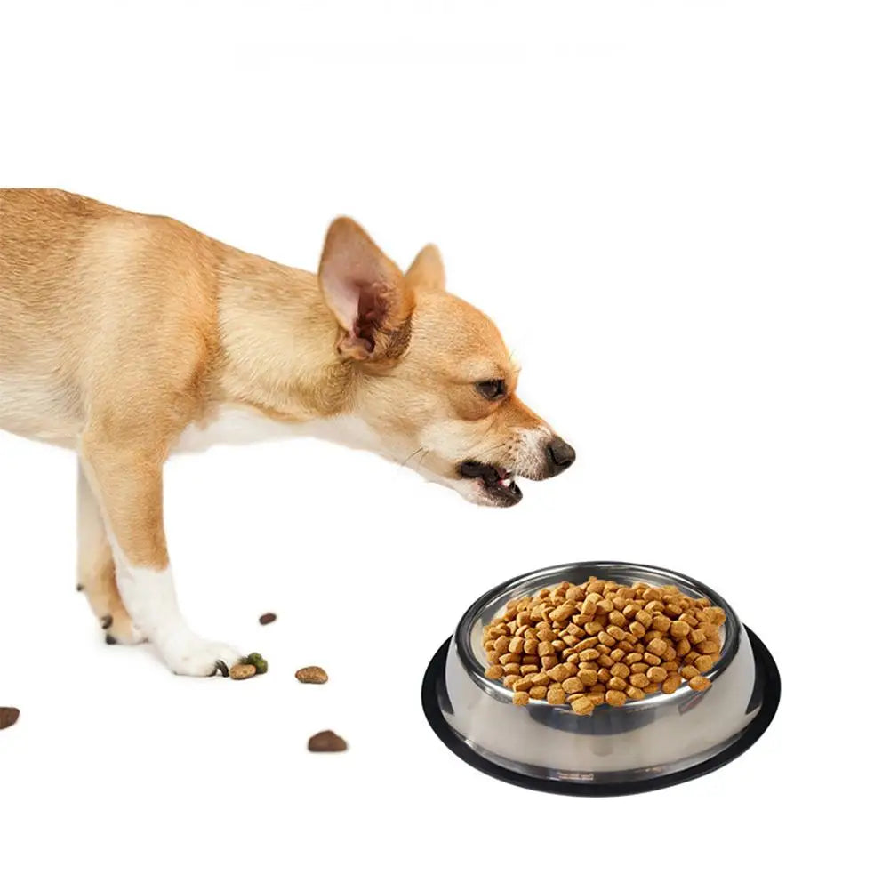 Stainless Steel Pet Bowl Feeder