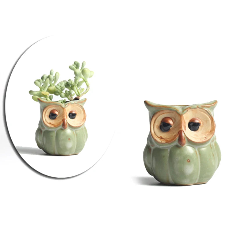 Owl Flower Pot